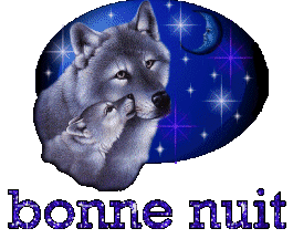 bonne nuit loup